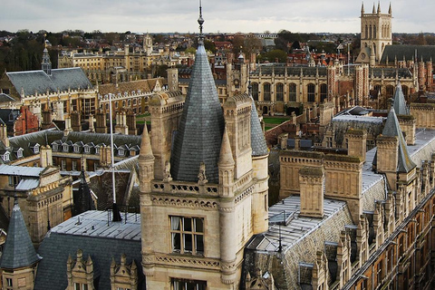 Tour della città dal centro di Londra a Cambridge: Viaggio privato di andata e ritornoMercedes Vito a 8 posti