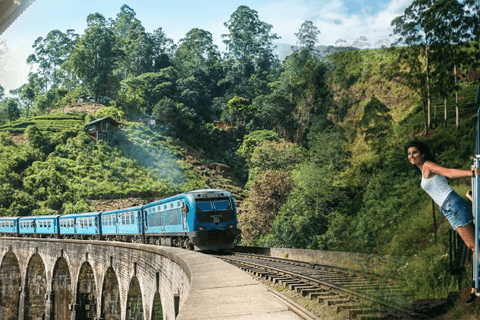 Ella: Kandy Transfer with Train Ride & Nuwara Eliya Tour