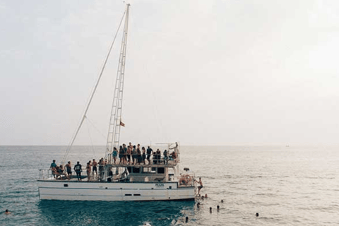 Mirissa : Observation des baleines et des dauphins