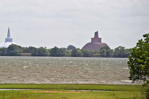 Anuradhapura &amp; Aukana: Privat dagstur från Sigiriya