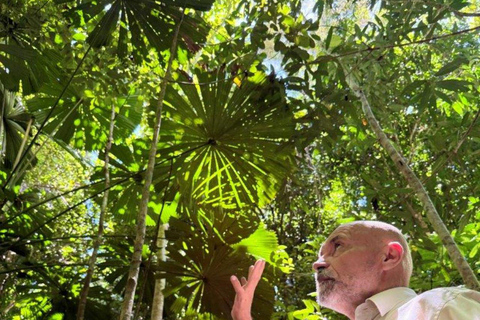 Port Douglas: Half Day Tour - Mossman Gorge & Daintree River