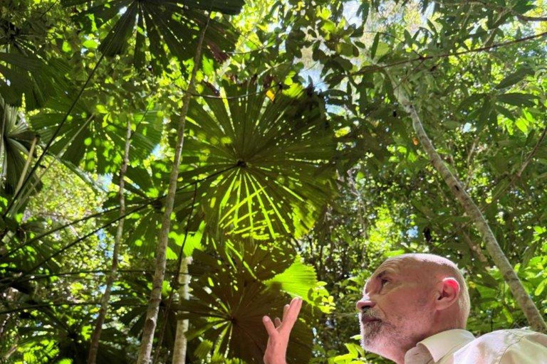 Port Douglas: Half Day Tour - Mossman Gorge & Daintree River