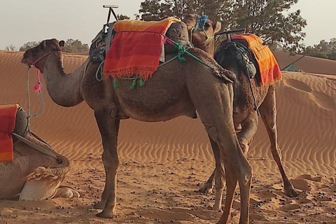 Tour di 3 giorni da marrakech al desertotour nel deserto da marrakech