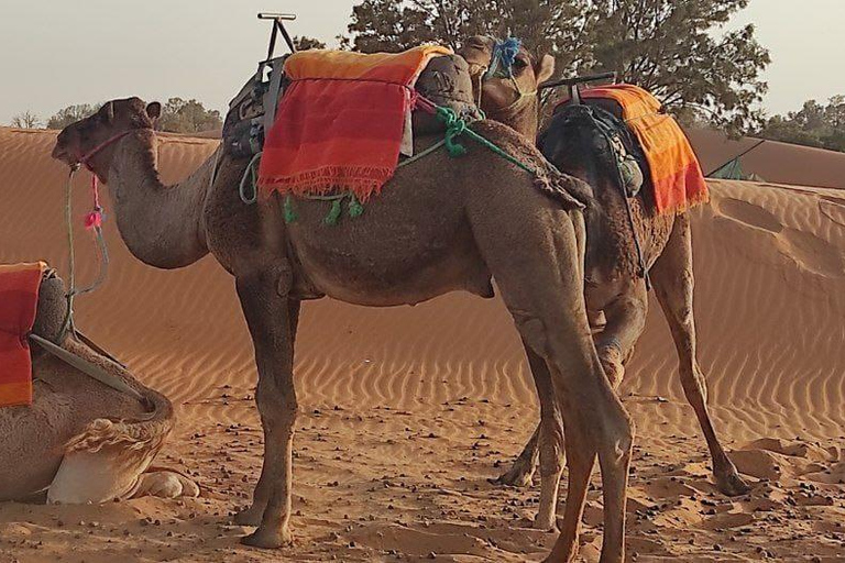 Tour di 3 giorni da marrakech al desertotour nel deserto da marrakech