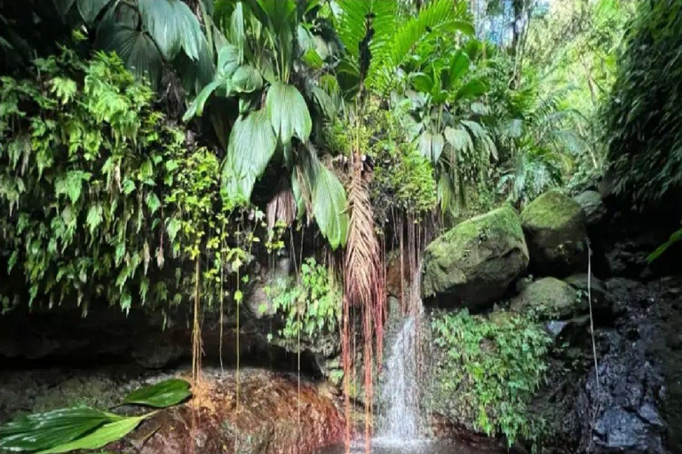 Advocaat Stephen Wandeling met waterval en grottentocht