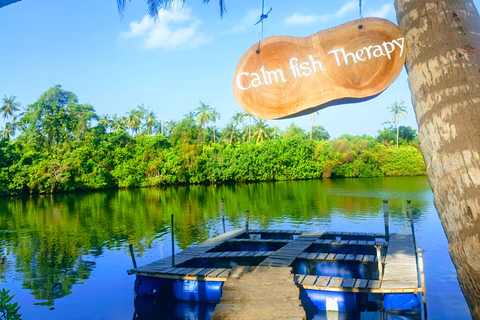 Hikkaduwa: Rathgama Lagoon Kayaking and Fish Therapy Tour