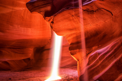 Vanuit Phoenix: Dagtocht naar Antelope Canyon en Horseshoe Bend