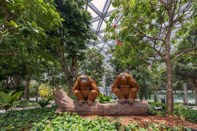 Singapore: Jewel Changi Airport Ticket Mastercard ® Canopy Bridge + Complimentary Canopy Park