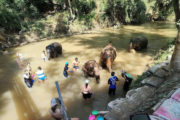 مغامرة لمدة 2-3 أيام في شيانغ ماي: قبائل التلال والفيلة والنهر2 أيام 1 ليلة واحدة: الحياة المحلية ورعا