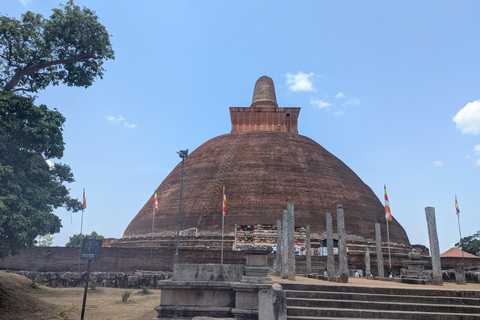 Sigiriya: Anuradhapura Guided Day Trip