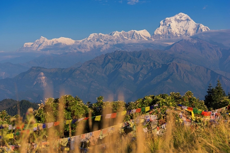 Katmandou : randonnée guidée de 3 jours à Ghorepani, Poon Hill et GhandrukKatmandou : 3 jours de randonnée guidée Ghorepani Ghandruk (forfait complet)
