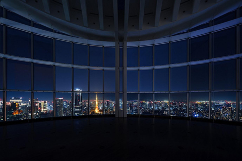 Tokio: Roppongi Hills Observatory TicketTokio: ticket Roppongi Hills-observatorium