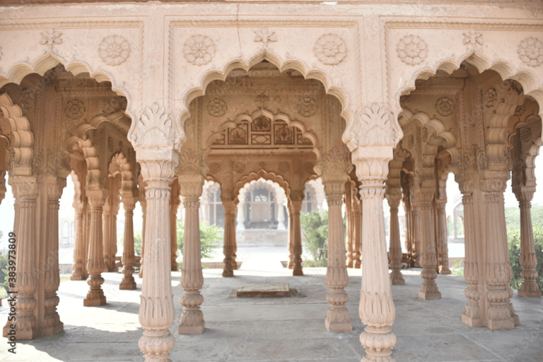 从德里出发：泰姬陵和玛图拉-布林达班观光 2 日游仅提供专业导游服务。