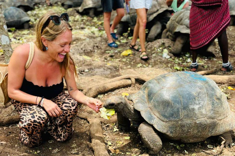 Zanzibar : île prison, sanctuaire des tortues marines + plage de MtendeVisite privée avec transfert et frais inclus