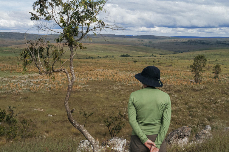 From São Paulo: 5-Day Serra da Canastra Wildlife Safari