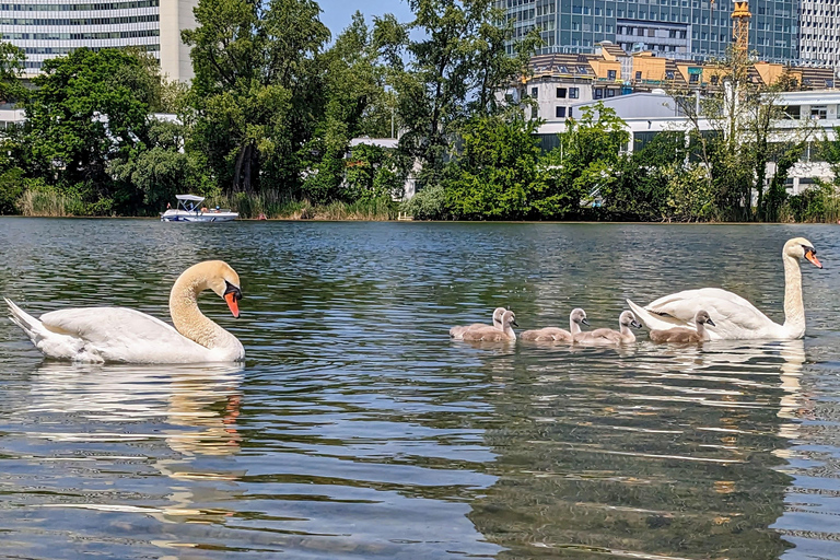 Excursión de medio día en kayak por Viena