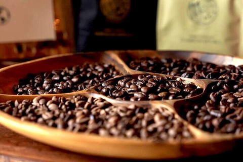 Punta Cana: ATV or Buggy Tour with Cenote and Beach Punta Cana: ATV or Buggy Tour with Cenote and Beach