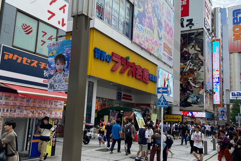 Akihabara: Anime, Manga, Game & Maid Cafe Tour