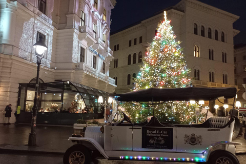 Viena: Tour turístico privado en coche eléctricoTour nocturno privado de 60 minutos (con bebidas)