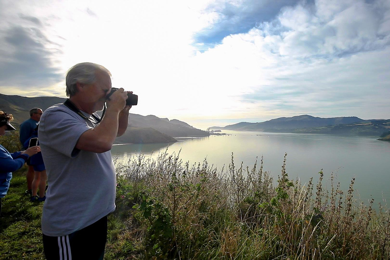 Visite d'une demi-journée des hauts lieux de ChristchurchVisite d'une demi-journée à Christchurch : Prise en charge à l'hôtel
