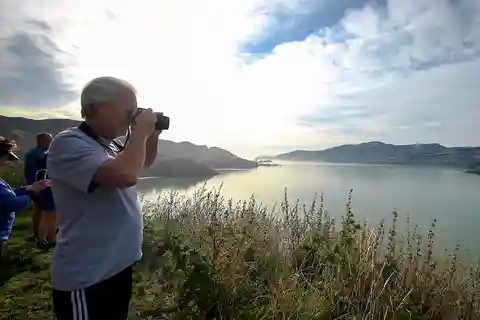 Half-Day Christchurch Scenic Highlights Tour