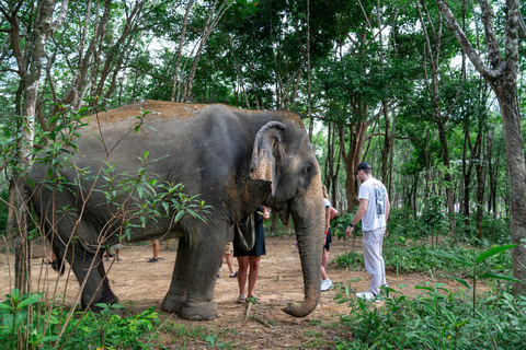 Khao Lak’s Best: Elephant Sanctuary,Rubber Tapping&Waterfall Khaolak Elephant Sanctuary Guided Tour with Hotel Transfers