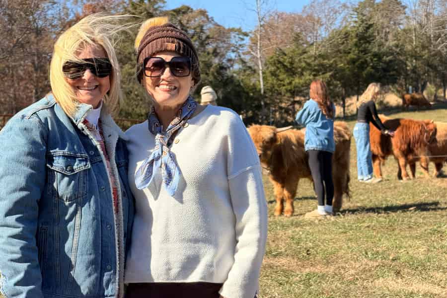 Tennessee: Flauschige Highland-Kuh-Erfahrung + Gelato & Kaffee. Foto: GetYourGuide