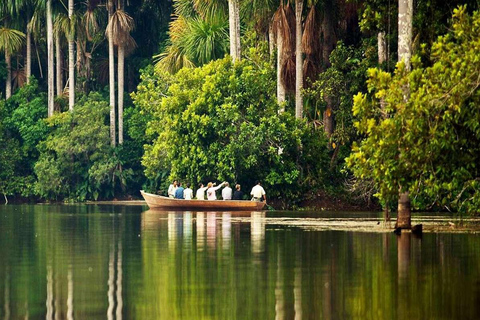 Puerto Maldonado: Reserva Nacional de Tambopata 4 Días