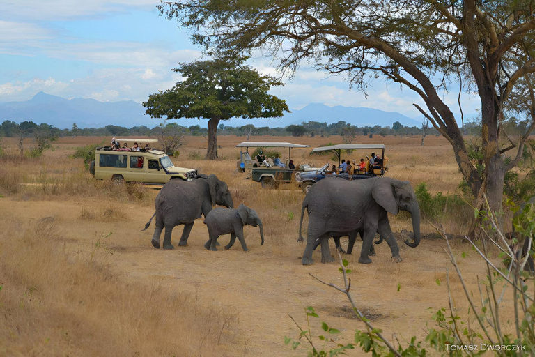 8days Serengeti np,ngorongoro conservation area,tarangaire Serengeti np,ngorongoro conservation area and tarangaire np