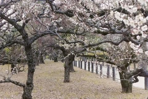 Osaka: Seven Millennia of History in 150 Minutes