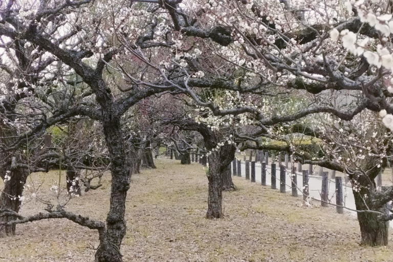 Osaka: Seven Millennia of History in 150 Minutes