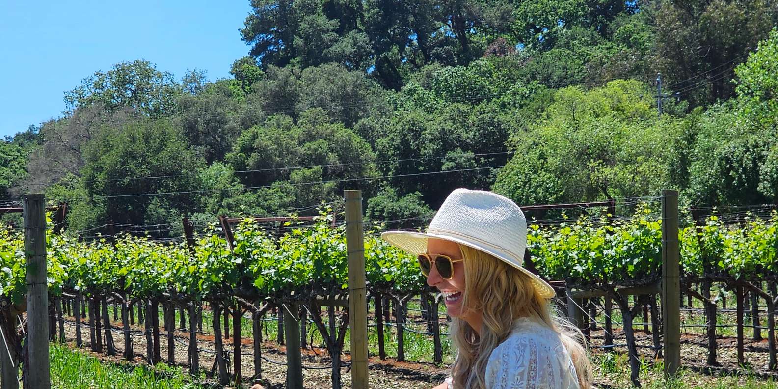 USA/California/Napa: Private Wine Tour for up to 6 guests