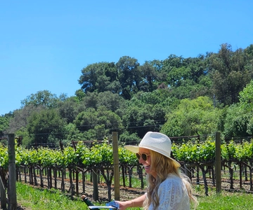 USA/California/Napa: Private Wine Tour for up to 6 guests