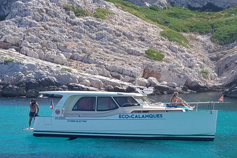 Marseille: Calanques Eco Boat Cruise with Lunch and Wine From Marseille: Calanques National Park Eco Boat Cruise