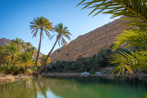 From Muscat:Wahiba Sands & WadiBani Khalid Desert Experience