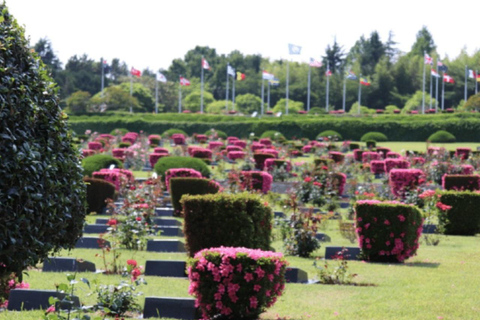 Busan: Private Tour with Stone Buddha, Garden, UN Cemetery