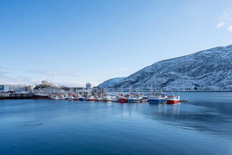 From Tromsø: Experience Vannøya Island Wild, Remote & Real
