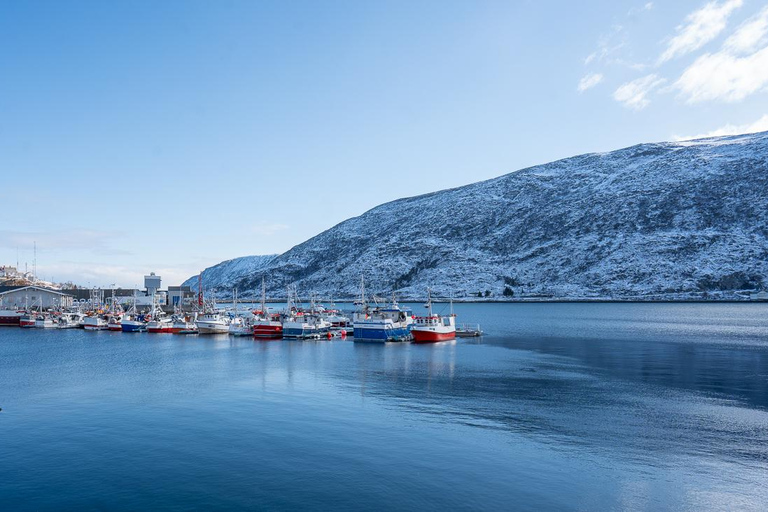 From Tromsø: Experience Vannøya Island Wild, Remote & Real