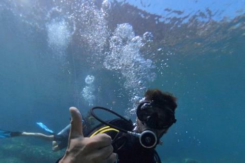 Chania : Essai de plongée sous-marine 2 plongées à terre (recevoir la certification)