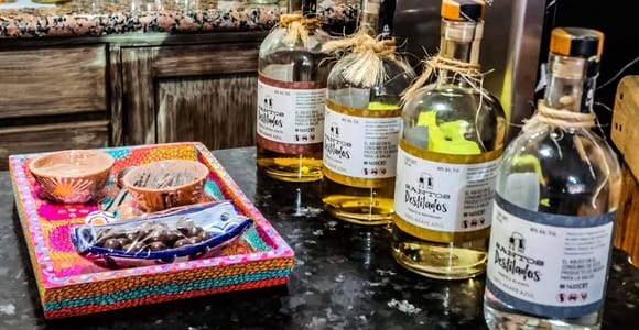 Tequila & Mezcal Tasting Experience