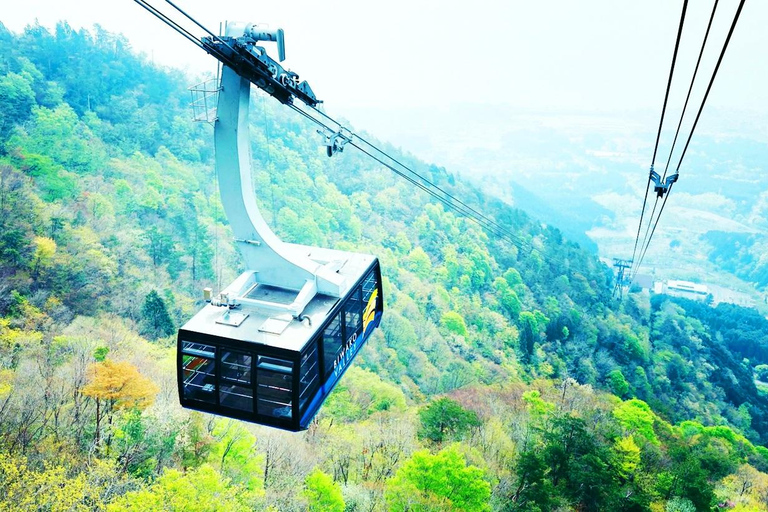 Osaka: Lake Biwa, Moonlit Temple and Omi Highlights Day Trip