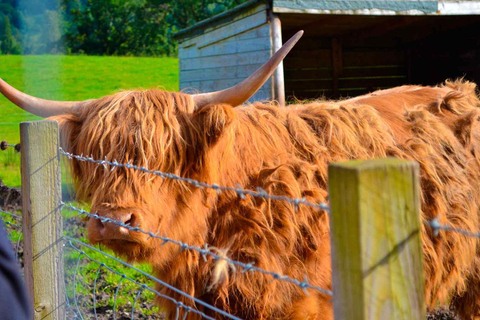 Highlands & Loch Ness: The Complete Tour