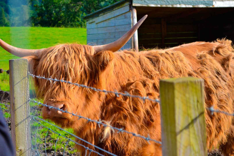 Highlands & Loch Ness: The Complete Tour