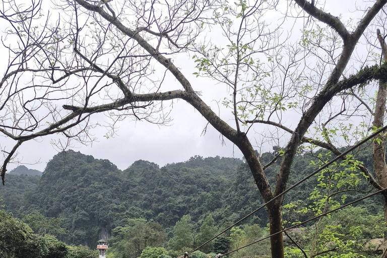 Phong Nha: Cave Exploration and Zipline Dark Cave Tour