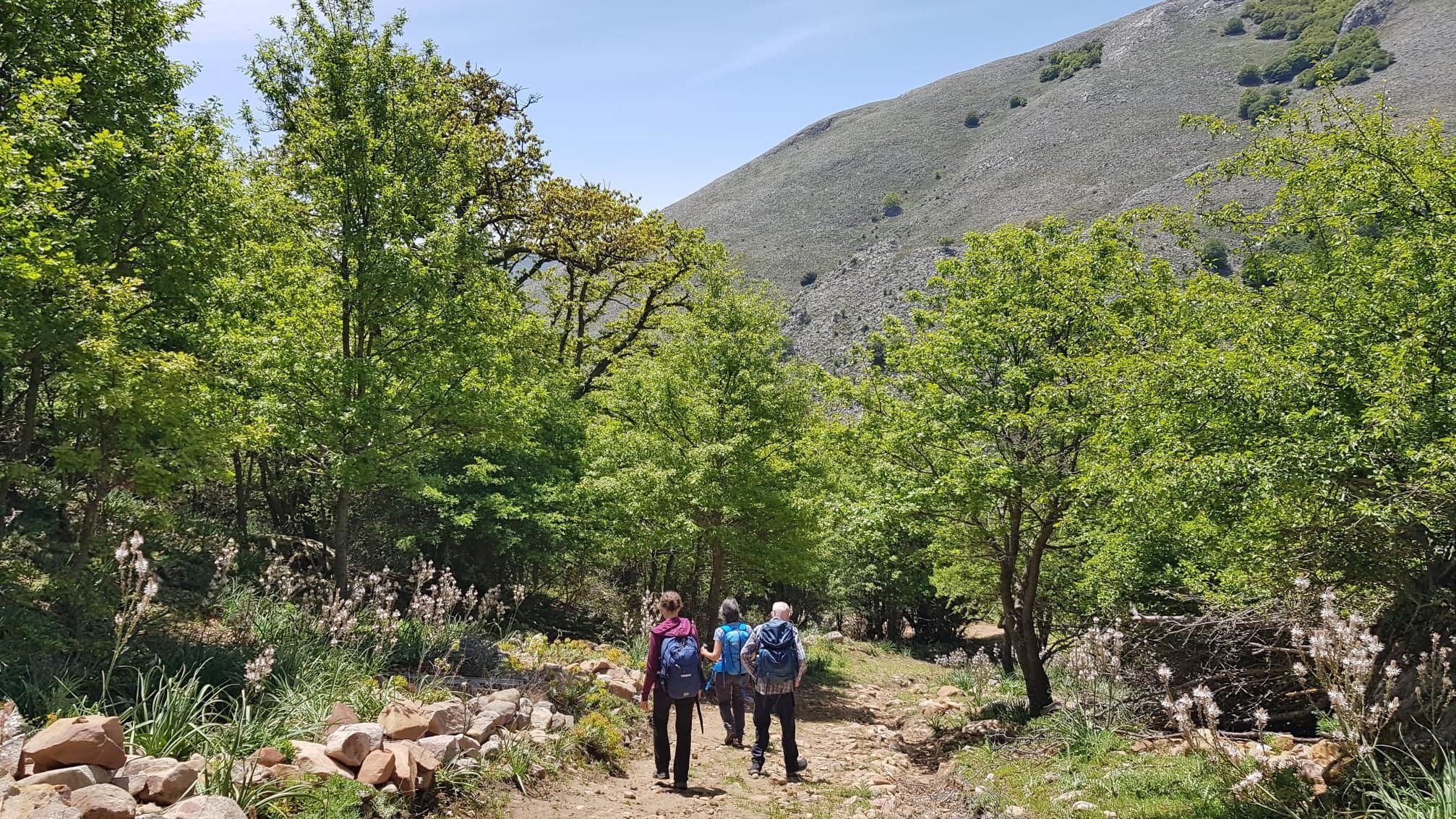 Wandern im Herzen des Madonie-Parks ab Castelbuono