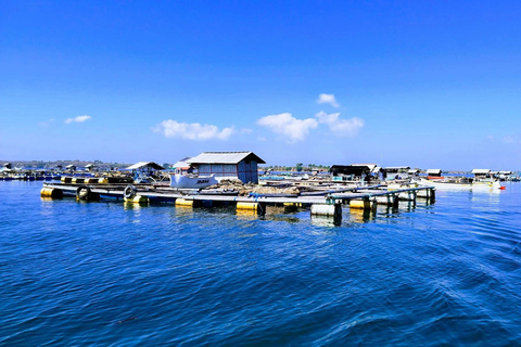 Lombok: Pink Beach & Gili Islands Snorkeling with Boat Trip