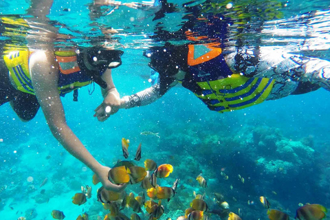 Bali: Nusa Dua Geweldig snorkelen Gratis ophalen in de omgeving van Nusa Dua