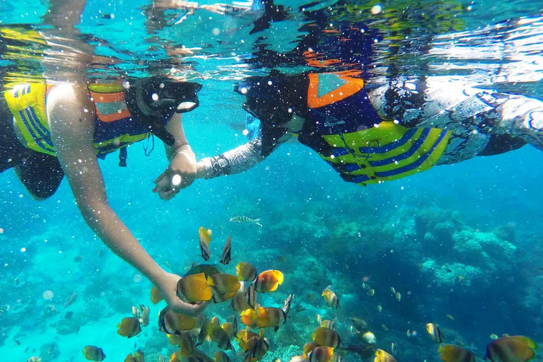 Bali: Nusa Dua Geweldig snorkelen Gratis ophalen in de omgeving van Nusa Dua