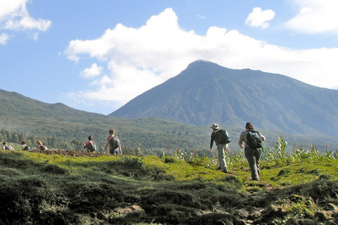 Vandring i Mount Bisoke i Volcanoes nationalpark