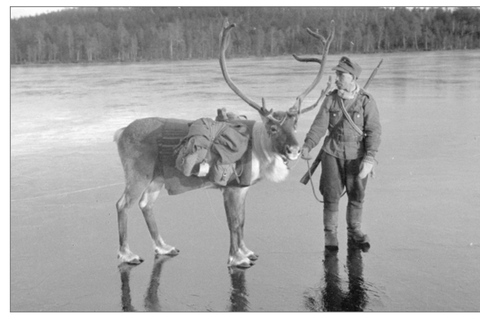 Helsinki WWII Walking Tour: Finland’s Fight for Survival